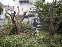 庭木伐採・草刈りを承ります。/ 埼玉県吉川市